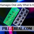 Kamagra Oral Jelly What Is It new04